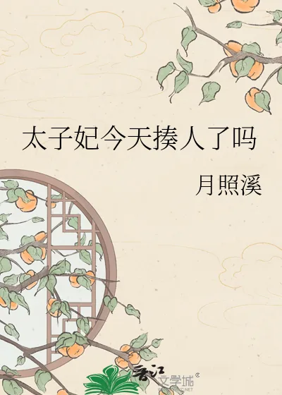 《太子妃今天揍人了吗》小说封面