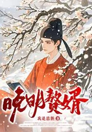《晚明赘婿》小说封面