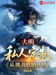 《大明:私人订制,从挑战软肋开始》小说封面