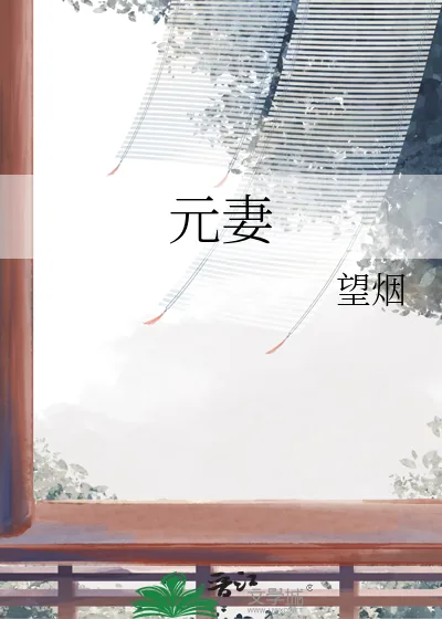 《元妻》小说封面