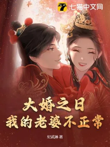 《大婚之日，我将未婚妻捉奸在床》小说封面