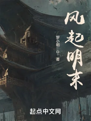 《风起明末》小说封面