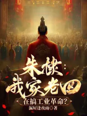 《朱棣:我家老四,在搞工业革命?》小说封面