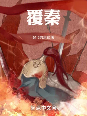 《覆秦》小说封面