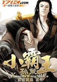 《小霸王孙策》小说封面