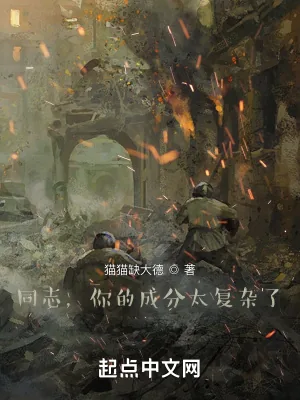 《同志，你的成分太复杂了》小说封面