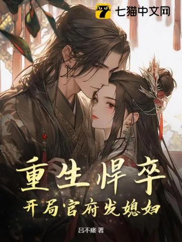 《乱世小军户》小说封面