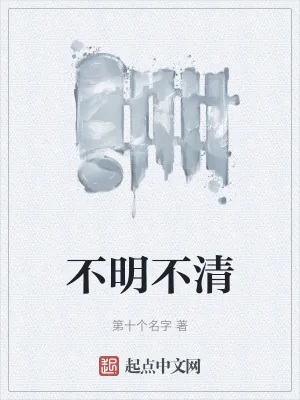 《不明不清》小说封面