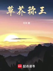 《草芥称王》小说封面