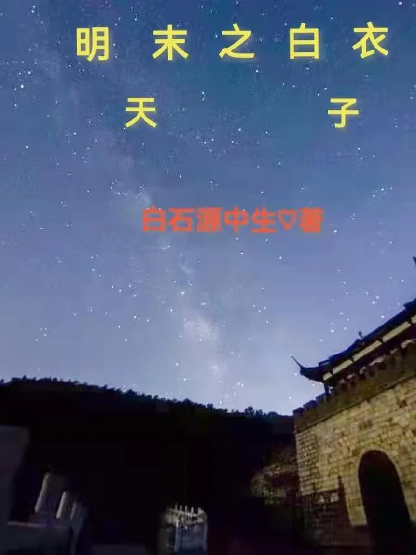 《明末之白衣天子》小说封面