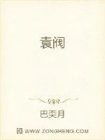 《袁阀》小说封面