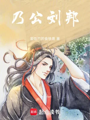 《乃公刘邦》小说封面