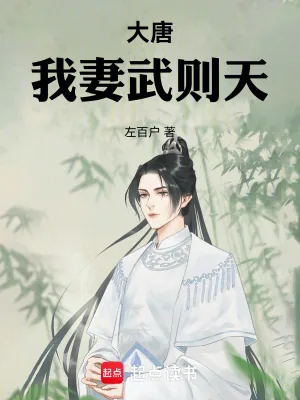 《大唐，我妻武则天》小说封面