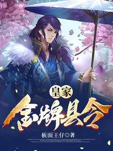《皇家金牌县令》小说封面