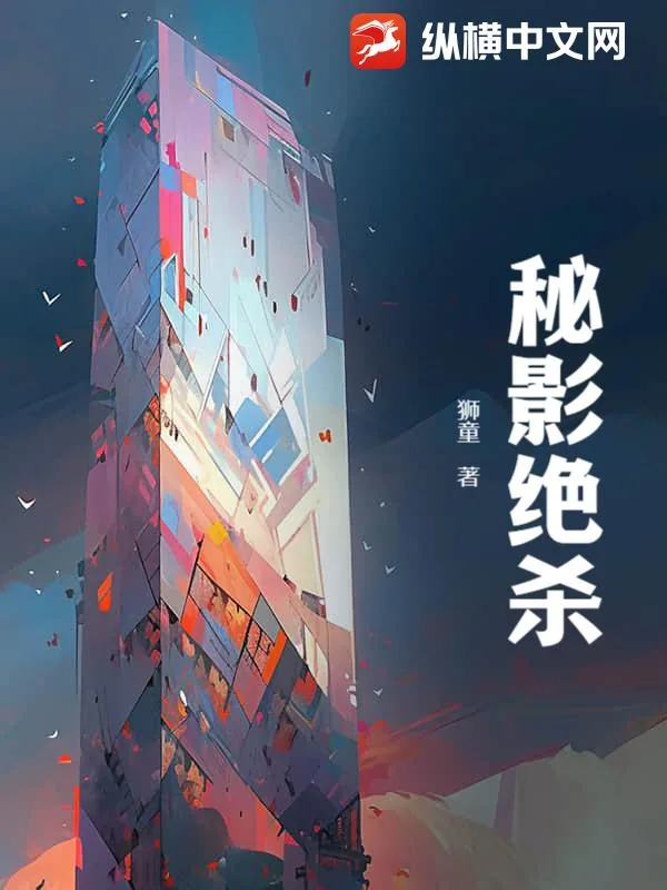 《秘影绝杀》小说封面