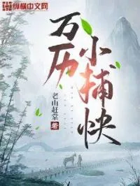 《万历小捕快》小说封面