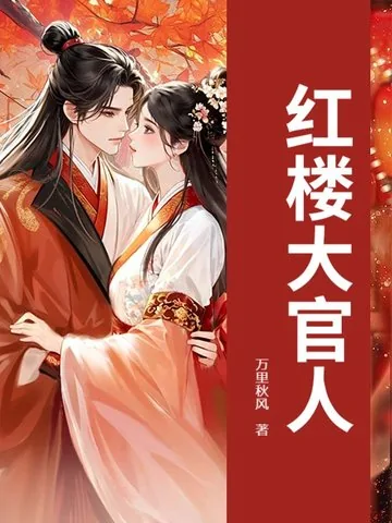 《红楼大官人》小说封面