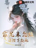 《家兄朱允炆,请陛下赴死!》小说封面