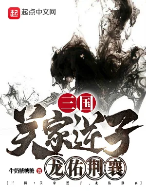 《三国:关家逆子,龙佑荆襄》小说封面