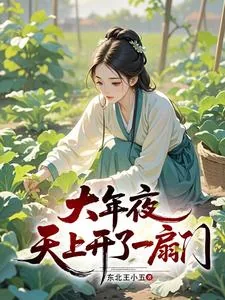 《大年夜，天上开了一扇门》小说封面