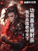 《功高盖主被射杀，我浴血踏歌夺天下》小说封面