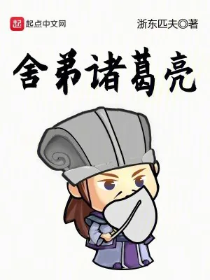 《舍弟诸葛亮》小说封面
