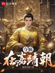 《夺嫡在嘉靖朝》小说封面