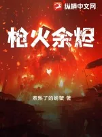 《枪火余烬》小说封面