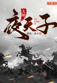 《大明夜天子》小说封面
