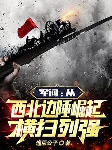 《军阀：从西北边陲崛起，横扫列强》小说封面