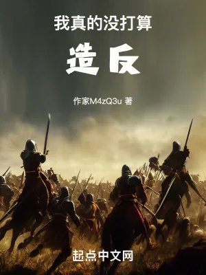 《我真的没打算造反》小说封面