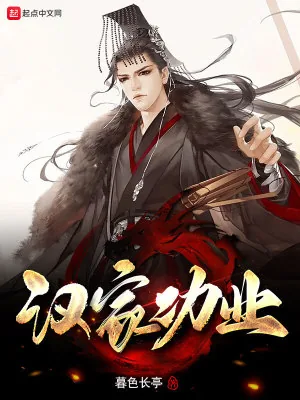 《汉家功业》小说封面