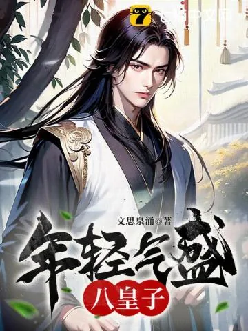 《年轻气盛八皇子》小说封面