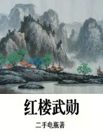 《红楼武勋》小说封面