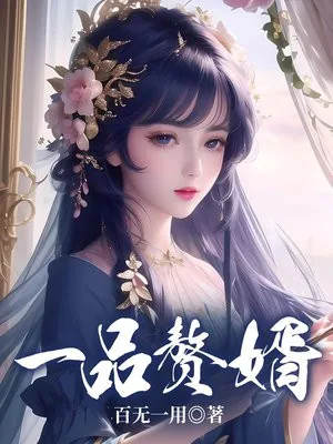 《一品赘婿》小说封面