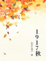 《1917秋》小说封面