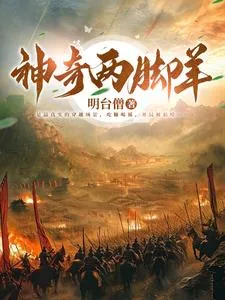 《至暗时代：五胡十六国历险记》小说封面