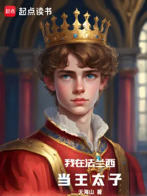 《我在法兰西当王太子》小说封面