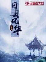 《日月风华》小说封面