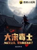 《大宋毒士:为扶父上位,我在南宋杀疯了》小说封面