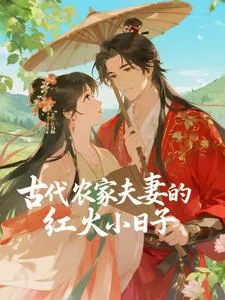 《古代农家夫妻的红火小日子》小说封面