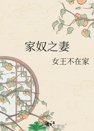 《家奴之妻》小说封面