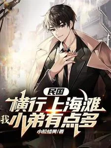 《民国：横行上海滩，我小弟有点多》小说封面