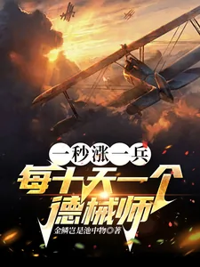 《一秒涨一兵,每十天一个德械师》小说封面