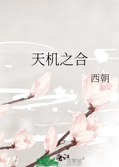 《天机之合》小说封面