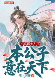 《小富即安?不,本公子意在天下》小说封面