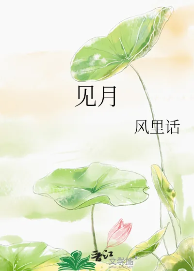 《见月》小说封面
