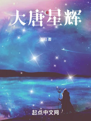 《大唐星辉》小说封面