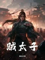 《贼太子》小说封面