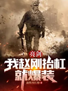 《亮剑:我赵刚,抬杠就爆装》小说封面